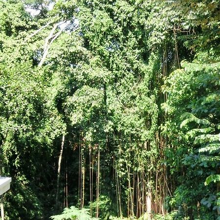 Latugu Homestay Ubud Exterior foto