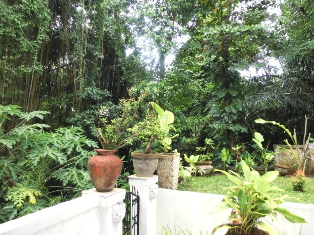 Latugu Homestay Ubud Zimmer foto