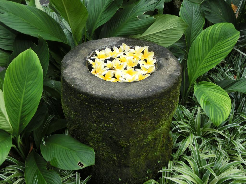 Latugu Homestay Ubud Exterior foto
